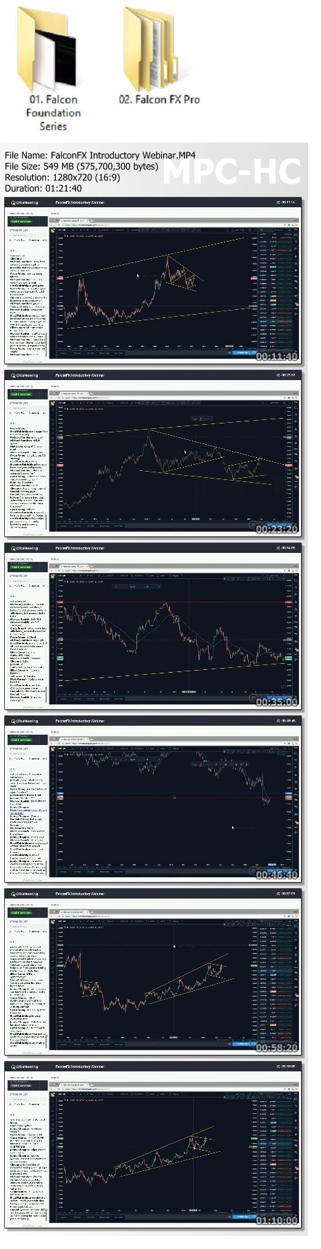 Falcon FX - Forex Course Proof of Product