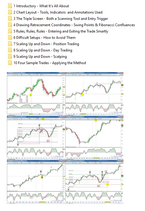 Frank Paul - Fibonacci Swing Trader Foundation Proof of Product