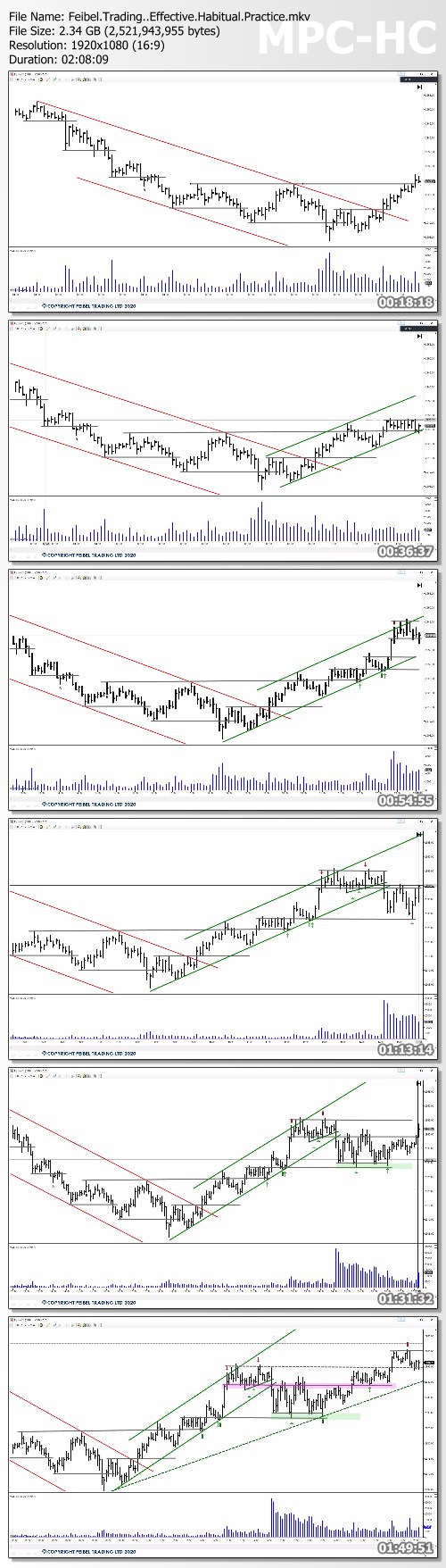 EHP - Effective Habitual Practice - Feibel Trading Ltd Proof of Product