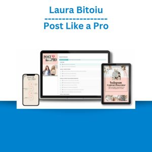 Laura Bitoiu - Post Like a Pro