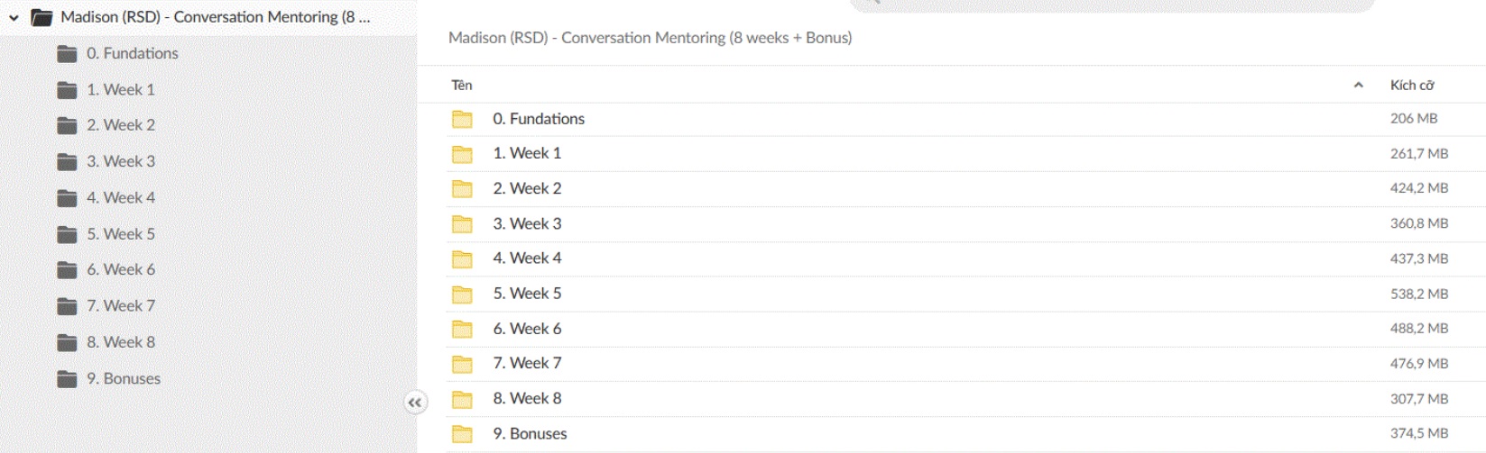 Madison (RSD) – Conversation Mentoring (8 Weeks + Bonus) Proof of Product