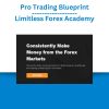 Pro Trading Blueprint – Limitless Forex Academy