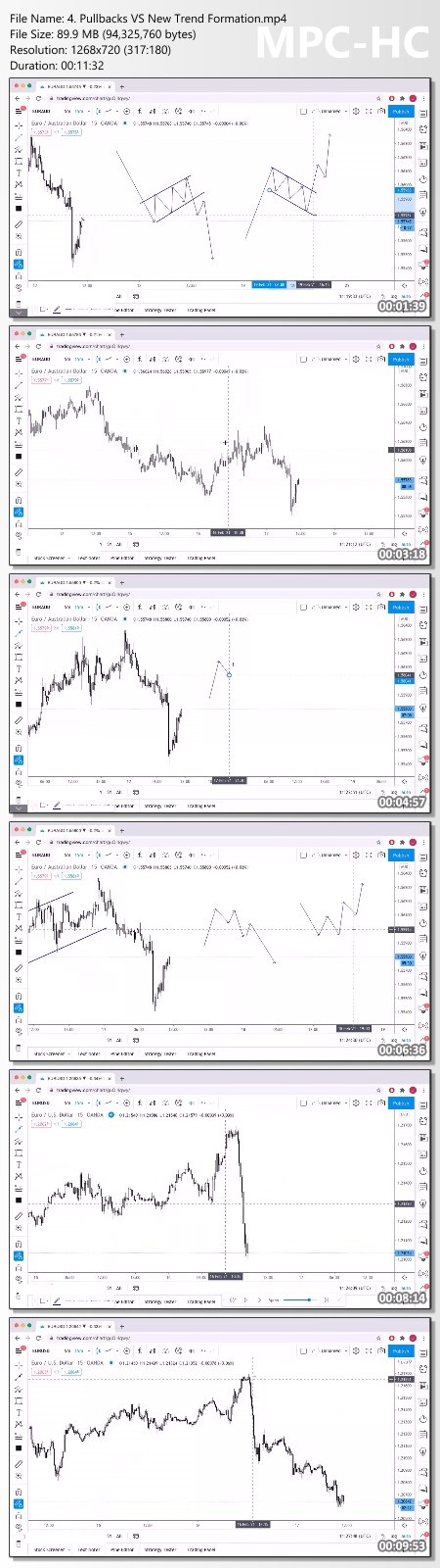 Pro Trading Blueprint – Limitless Forex Academy Proof of Product