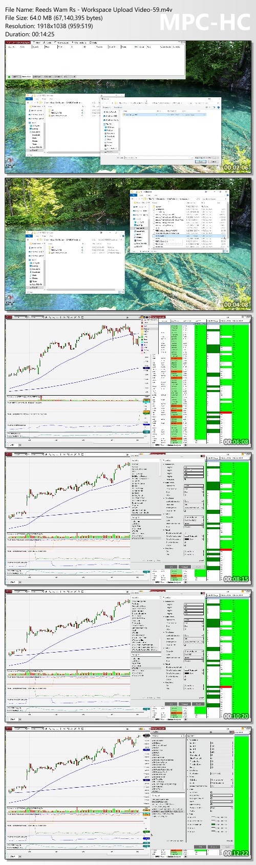 Reeds Trader - Momentum Stock Options Workshop Proof of Product