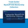 Trade Guider – Wyckoff VSA Mentorship Collection