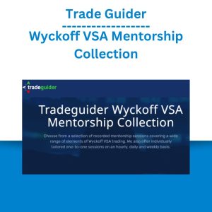 Trade Guider – Wyckoff VSA Mentorship Collection