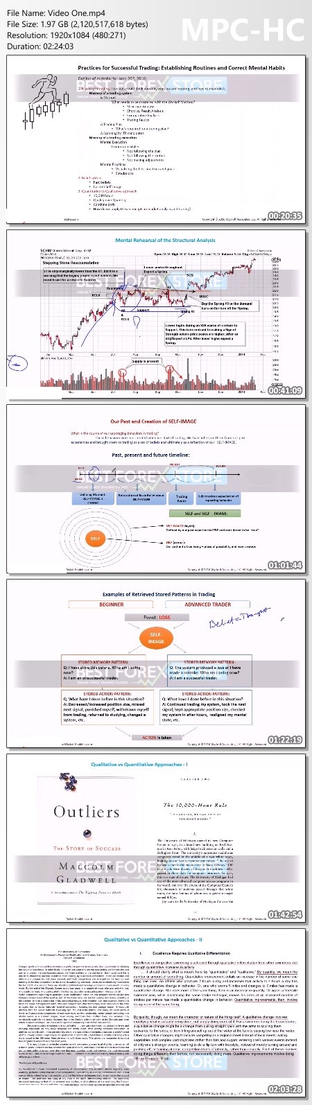 Wyckoff Analytics - Practices For Successful Trading Proof of Product