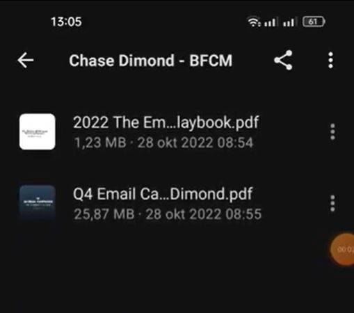 Chase Dimond – The Ultimate BFCM Email Marketing Playbook Proof of Product