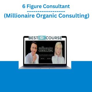 6 Figure Consultant (Millionaire Organic Consulting)