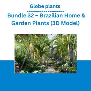 Globe plants – Bundle 32 – Brazilian Home & Garden Plants (3D Model)