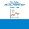 Nick Radge - LARGE CAP MOMENTUM STRATEGY