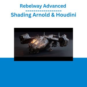 Rebelway Advanced Shading Arnold & Houdini