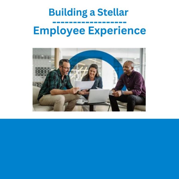 Building a Stellar Employee Experience