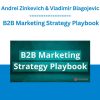 Andrei Zinkevich & Vladimir Blagojevic - B2B Marketing Strategy Playbook