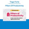 Tiago Forte - Pillars Of Productivity