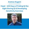 Andrew Nugent-Head - 100 Days of Pulling Qi the Eight Storing Qi & Developing Sensitivity Exercises