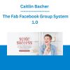 Caitlin Bacher - The Fab Facebook Group System 1.0