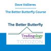 Dave Vallieres - The Better Butterfly Course