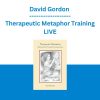 David Gordon - Therapeutic Metaphor Training LIVE