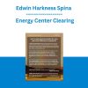 Edwin Harkness Spina - Energy Center Clearing