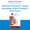 Robert Schwarz - BT18 Short Course 31 - Energy Psychology: A Brief Therapy to Treat Trauma