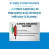Steady Trader Secrets - Ultimate Candlestick Bootcamp & B2 Reversal Indicator & Scanner