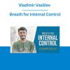 Vladimir Vasiliev - Breath for Internal Control