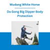 Wudang White Horse - Da Gong Big Dipper Body Protection