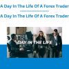A Day In The Life Of A Forex Trader
