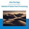 Alex Noriega - Ballad of Gales Post Processing