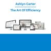 Ashlyn Carter - The Art Of Efficiency