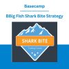 Basecamp - Big Fish Shark Bite Strategy