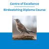 Centre of Excellence - Birdwatching Diploma Course