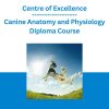 Centre of Excellence - Canine Anatomy and Physiology Diploma Course
