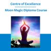Centre of Excellence - Moon Magic Diploma Course