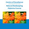 Centre of Excellence - Natural Beekeeping Diploma Course