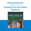 Chanchal Cabrera - Growing Your Own Herbal Medicine
