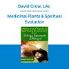 David Crow, LAc - Medicinal Plants & Spiritual Evolution