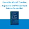 Envagelica Micheli-Tzanakou - Supervised and Unsupervised Pattern Recognition