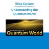 Erica Carlson - Understanding the Quantum World