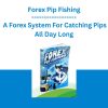 Forex Pip Fishing - A Forex System For Catching Pips All Day Long