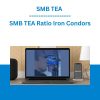 MB TEA Ratio Iron Condors