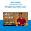 Mas Sajady - Pineal Gland Activation