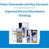 Peter Diamandis and Ray Kurzweil - Exponential and Abundance Thinking