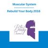 Rebuild Your Body 2016 - Muscular System