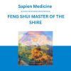 Sapien Medicine - FENG SHUI MASTER OF THE SHIRE