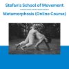 Mike Salemi - Mastering the Kettlebell Online Course (Full Program)