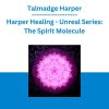 Talmadge Harper - Harper Healing - Unreal Series: The Spirit Molecule