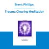 Brent Phillips - Trauma Clearing Meditation