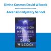 Divine Cosmos David Wilcock - Ascension Mystery School